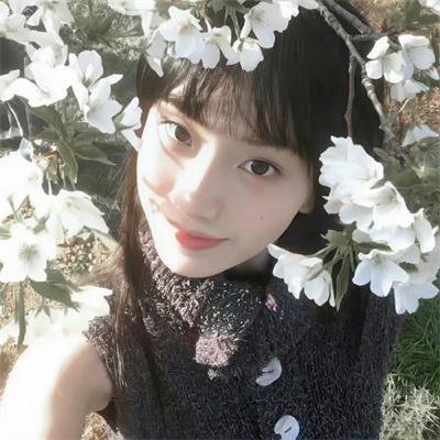奥菲斯恋歌