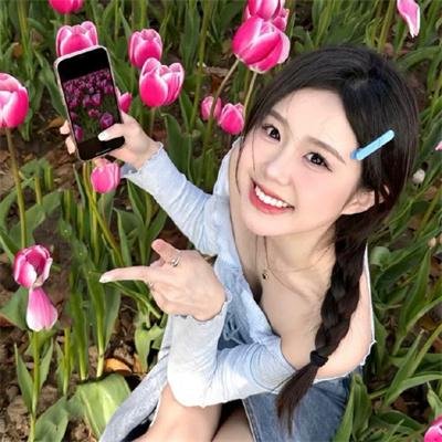 南方悬案